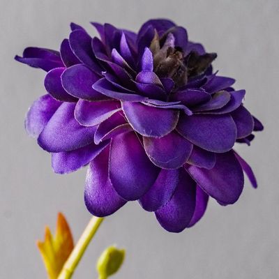 Bloomvogue Artificial Dahlia 46Cm Purple 