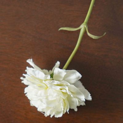 Bloomvogue Artificial White Carnation 60Cm White 