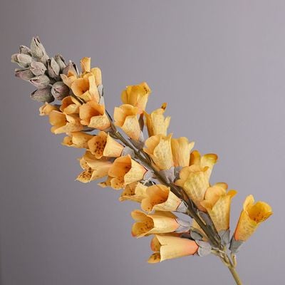 Bloomvogue Artificial Foxgloves - Yellow - 80 cm