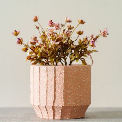 Radiant  Indoor Flower In Pot Terracotta 12X12X16Cm