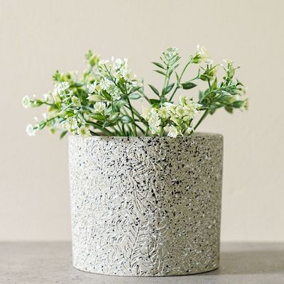 Radiant  Indoor Flower In Pot Grey 12X12X16Cm