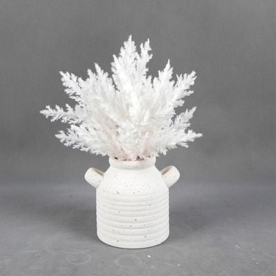 Eternal Bliss Frosty White Flower In Pot Size:20.32X20.32X33.02Cm