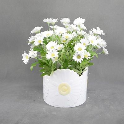 Eternal Bliss Petal White Flower In Pot Size:22.86X22.86X27.94Cm