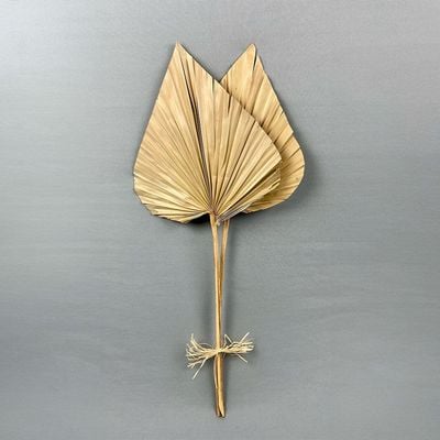 Fleur Palm Spear Jumbo Leaf Natural H - 60Cm