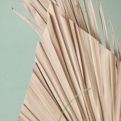 Fleur Palm Spear Jumbo Leaf Natural H - 60Cm