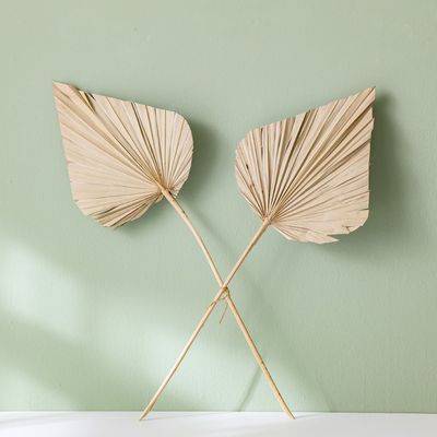 Fleur Palm Spear Jumbo Leaf Natural H - 60Cm