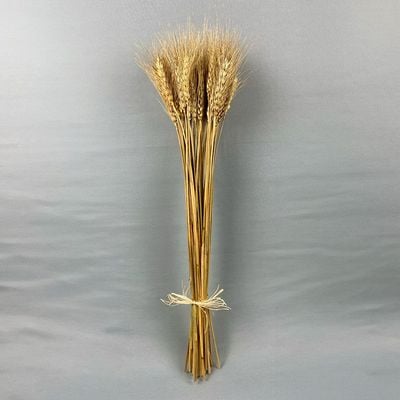 Fleur Wheat Grass Natural H - 45Cm