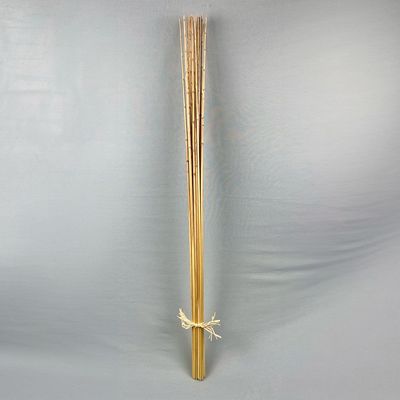 Fleur Reed Stem Natural H-- 120Cm