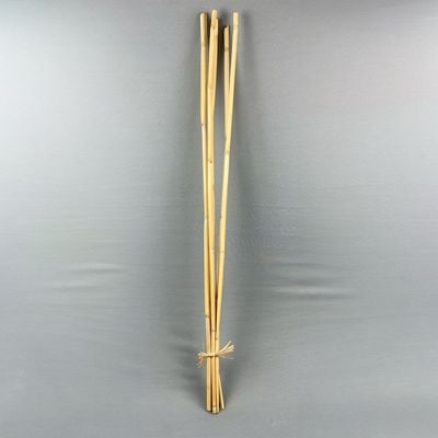 Fleur Hollow Bamboo Stem Bleach H - 100Cm