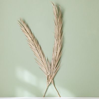 Fleur Khejur Sikha Leaves Natural H - 100Cm