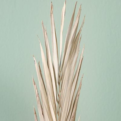 Fleur Khejur Sikha Leaves Natural H - 100Cm