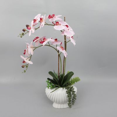 SS25 Daisy Ceramic & Fabric Orchid In Pot 34.29*17.15*59.06Cm