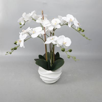 SS25 Daisy Ceramic & Fabric Orchid In Pot 38.1*38.1*53.34Cm