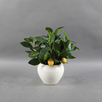 SS25 Daisy Ceramic & Fabric Greenery In Pot 25.4*25.4*29.21Cm