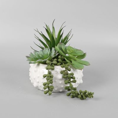 SS25 Daisy Ceramic & Fabric Succulent In Pot 17.78*17.78*17.78Cm