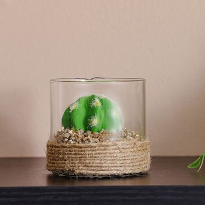 Treo Sphere Cactus Terrarium - 8.5x8 cm 