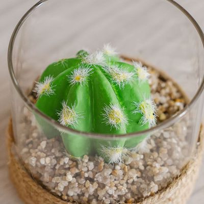 Treo Sphere Cactus Terrarium - 8.5x8 cm 