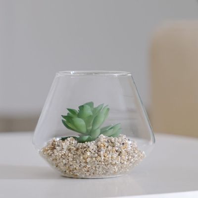 Treo Raindrop Plant Terrarium 12X9Cm