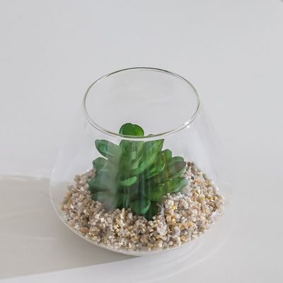 Treo Raindrop Plant Terrarium 12X9Cm