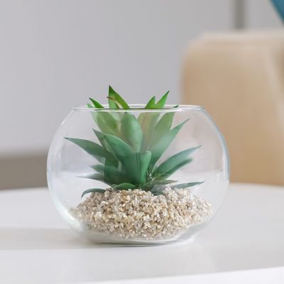 Treo Vera Plant Terrarium 15X11Cm