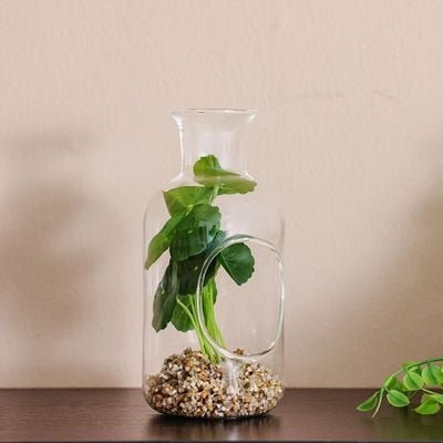 Treo Vertigo Leaf Terrarium 8x16.5CM