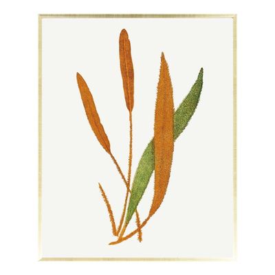 Gallery Orange And Green Small Leaf Set-3 Framed Art 41X51X2.5CM- AW21