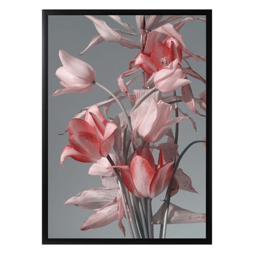 Gallery Safflower With Gray Background Framed Art 53X73X2.2CM 023-21015