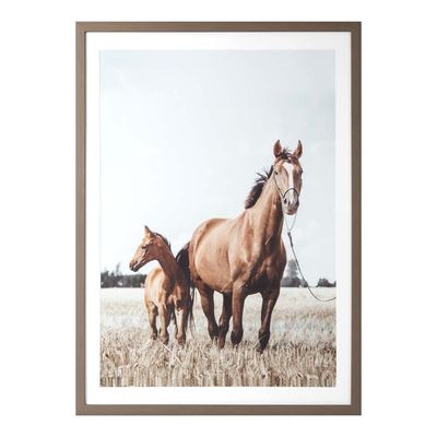 Gallery Two Horses In The Meadow Framed Art 53X73X2.2CM 023-21016