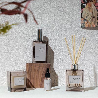 (100 Ml) Balanced Horizon Reed Diffuser