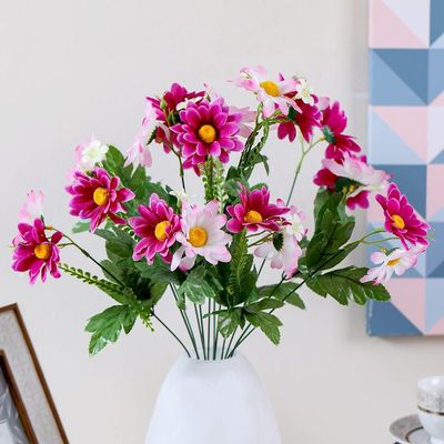 Rejoice Flower Bunch Daisy Assorted BL3000060