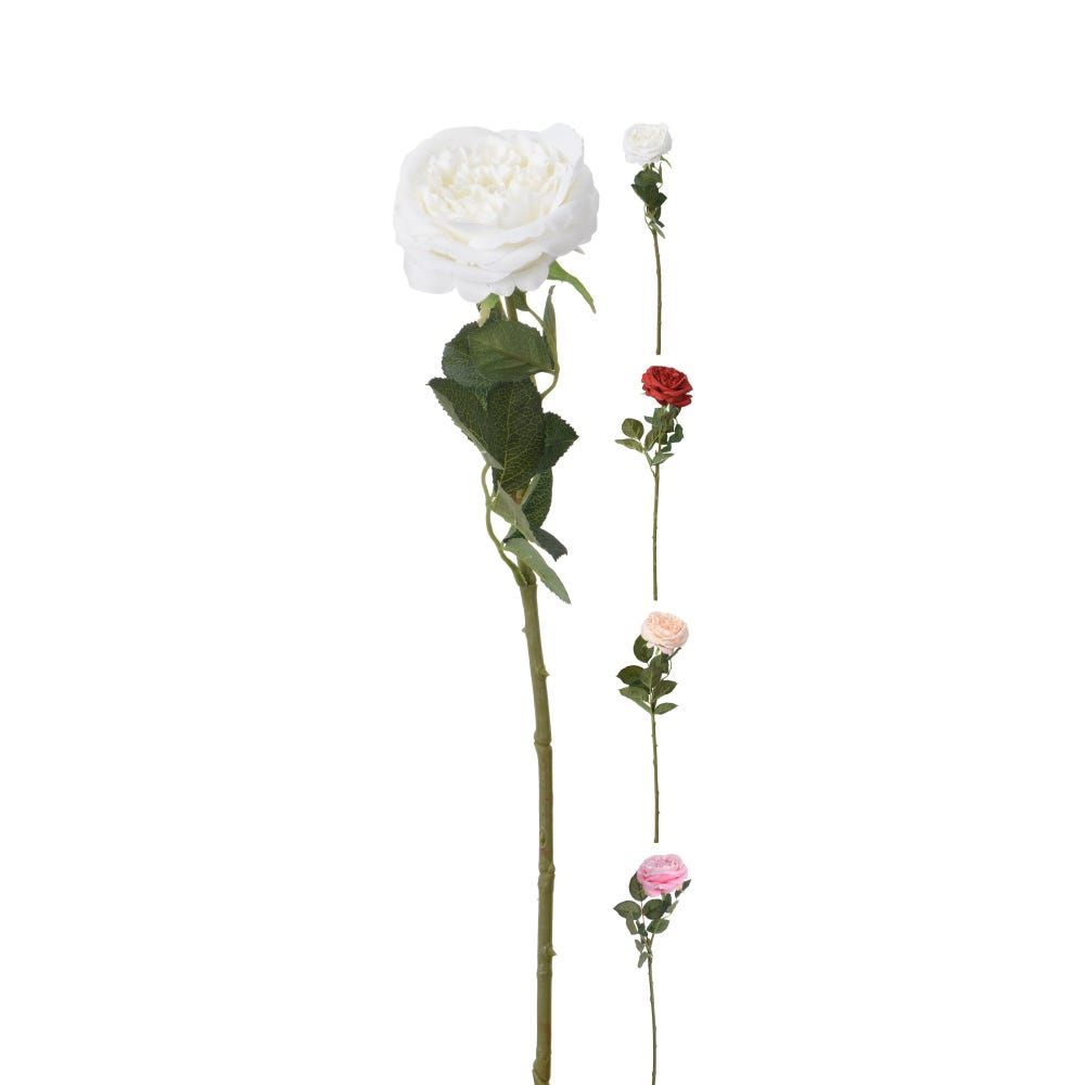 gallery_0