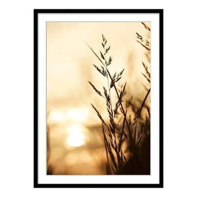 Lorena Sunset Framed Canvas 50X70Cm