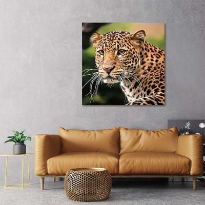 Diana Leopard Tempered Glass Wall Art Multi 80X80X0.4Cm
