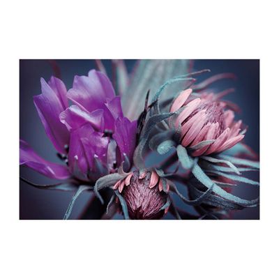 Diana Flower Elegance Tempered Glass Wall Art Multi 120X80X0.4Cm