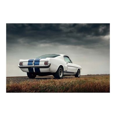 Diana Ford Mustang Fastback Tempered Glass Wall Art Multi 120X80X0.4Cm