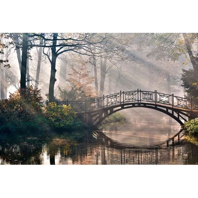 Diana Swan Bridge Landscape Tempered Glass Wall Art 120X80X0.4Cm