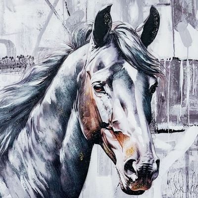 Rabat Equestrain Horse Canvas Wall Art 80x80x3Cm