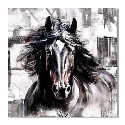 Rabat Equine Horse Canvas Wall Art 80x80x3Cm