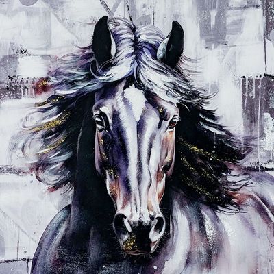 Rabat Equine Horse Canvas Wall Art 80x80x3Cm