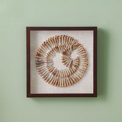 Skia Glass & PP Shells In Sphere Shadow Boxes 40x40x50Cm