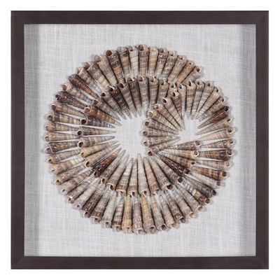 Skia Glass & PP Shells In Sphere Shadow Boxes 40x40x50Cm Skia Glass & PP Shells In Sphere Shadow Boxes 40x40x50Cm