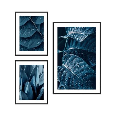 Latin Blue Hosta Plant Zoomed S/3 Print Canvas 1Pc:40X60
2Pcs:30X40