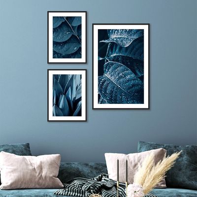 Latin Blue Hosta Plant Zoomed S/3 Print Canvas 1Pc:40X60
2Pcs:30X40