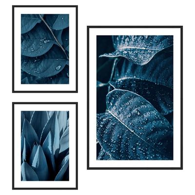 Latin Blue Hosta Plant Zoomed S/3 Print Canvas 1Pc:40X60
2Pcs:30X40