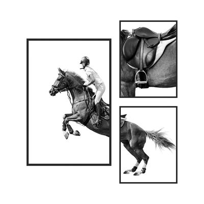 Latin Derby Horse S/3 Print Canvas 1Pc:40X60
2Pcs:30X40