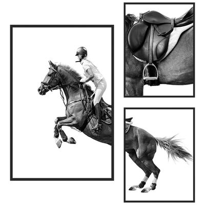 Latin Derby Horse S/3 Print Canvas 1Pc:40X60
2Pcs:30X40