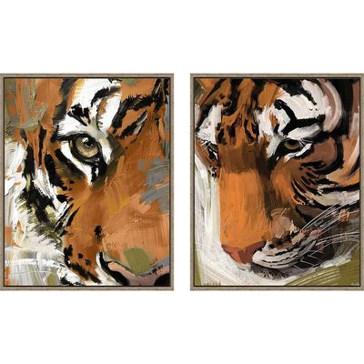 Latin Eye Of A Tiger S/2 Framed Canvas 2Pcs:40X50