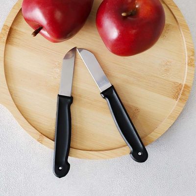 Kitchen Peeling Knif 10Pcs Asst 2 Color