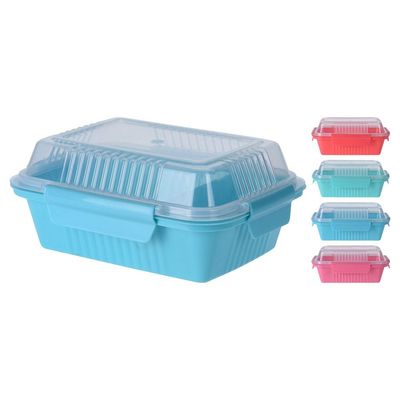 Lunchbox Pp 20X16X9cm - Assorted - 179651150