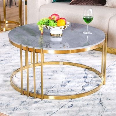 Armadillo Coffee Table - Grey / Gold